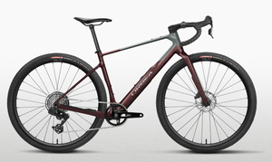 Orbea Terra M31eTEAM 1X