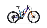 WHYTE E-Lyte Evo Stag Works V2