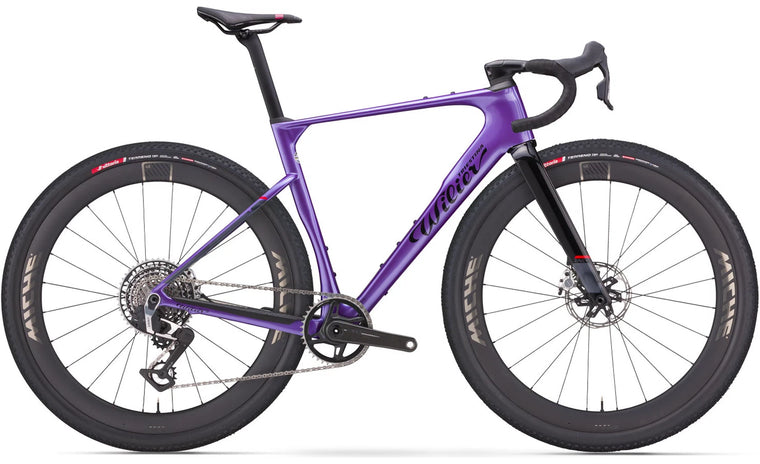 Wilier Rave SLR ID2 (Due 11/25)