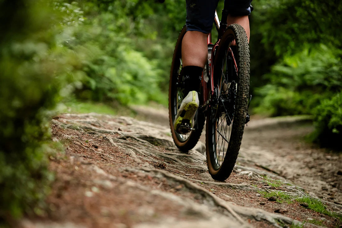 Whyte Verro (adventure and rough gravel)