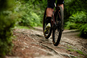 Whyte Verro (adventure and rough gravel)