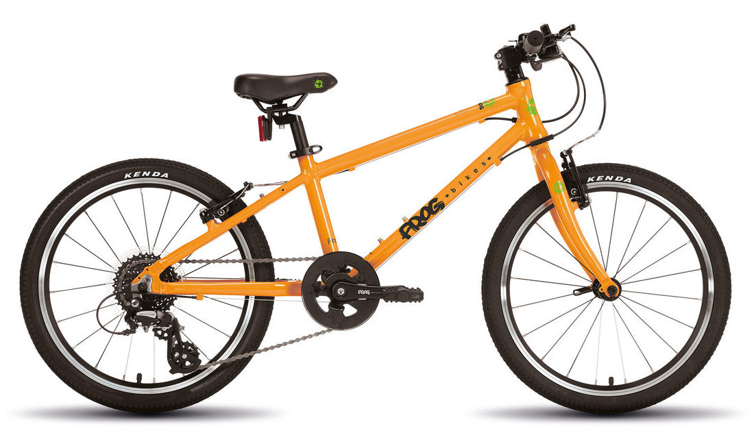 frog bike 20